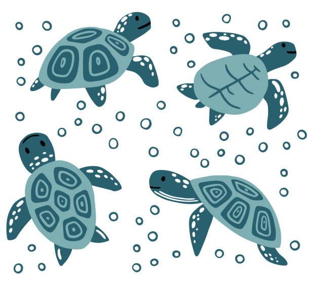 ilustrações, clipart, desenhos animados e ícones de conjunto de grande tartaruga azul desenho de tartaruga fofa desenho animal tartaruga oceânico nadando em água ilustração vetorial plana isolado em fundo branco - terrapin