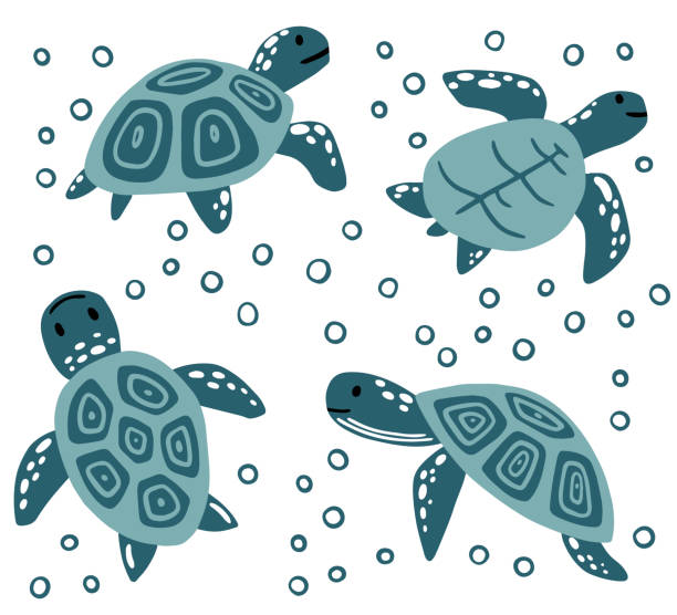 Set Of Big Blue Sea Turtle Cartoon Cute Animal Design Ocean Tortoise Swimming In Water Flat Vector Illustration Isolated On White Background Stock Illustration - Download Image Now - iStock Set Of Big Blue Sea Turtle Cartoon Cute Animal Design Ocean Tortoise Swimming In Water Flat Vector Illustration Isolated On White Background Stock Illustration - Download Image Now - iStock