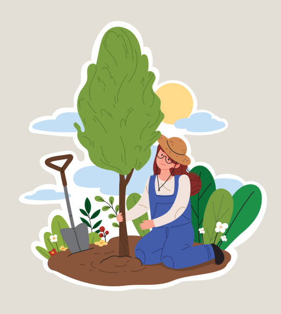 A woman planting a tree in the forest. Arbor day concept vector illustration. Arbor Day stock illustrations