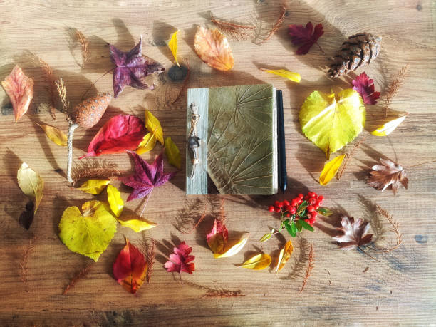 istock colorful leaves and authentic notebook on wooden background 1310252413