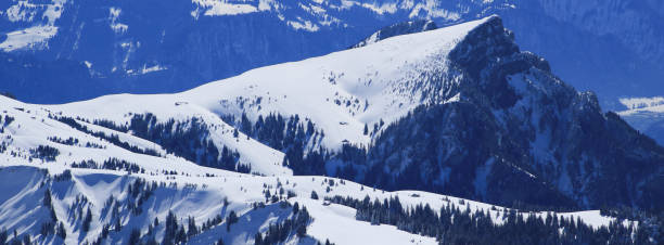 istock Gonzen in winter. View from Chaserrugg. 1310255048
