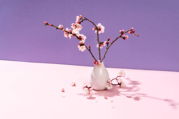 istock Spring flowers blooming in a vase. Spring color background 1310259242