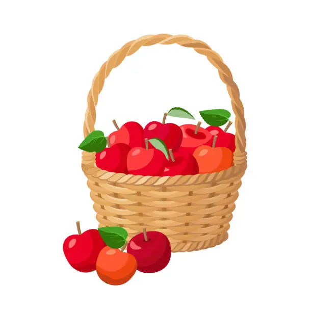 Vector illustration of Red juicy apples in basket vector illustration isolated on white background.