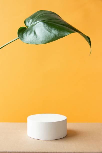 istock Empty white podium on a pastel background. Minimal geometric podium. Scene with geometric shapes. Empty showcase for the presentation of cosmetic products. 1310263458