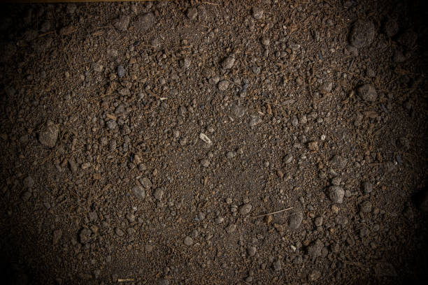 istock Ground Texture. Top View of a Dark Ground Surface. 1310267321