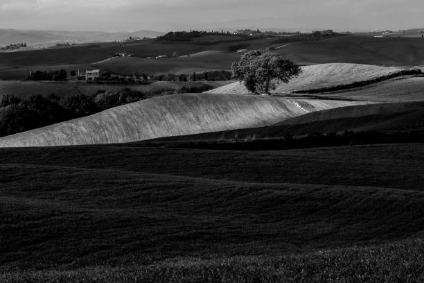 istock Tuscany, Italy 1310267463