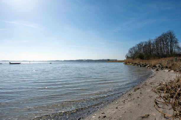 istock Spring by the beach with sun and water 1310267722