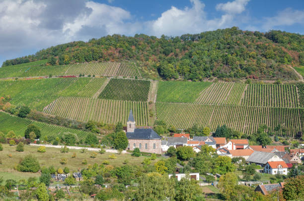 istock Kirschroth,Rhineland-Palatinate,Germany 1310268511