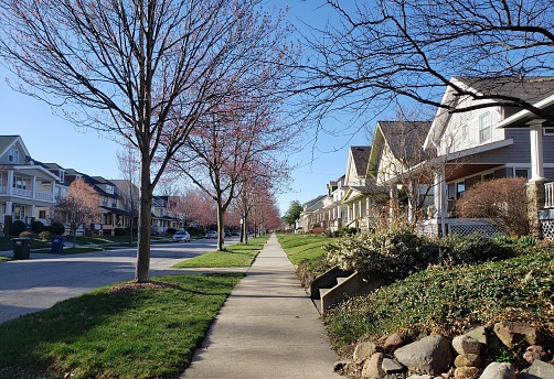 Photo of a row of historic home exteriors on a sunny spring day with clear blue sky