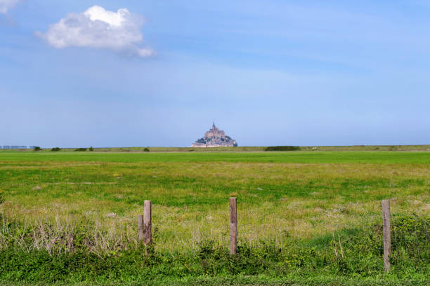 istock Saltbush in the The Mont-Saint-Michel bay 1310272632
