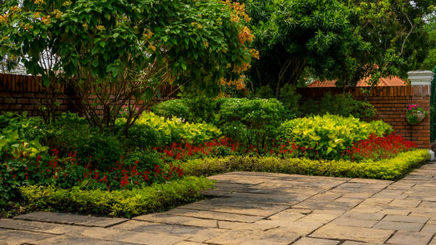 Back - front yard English cottage garden, colorful flowering plant, brown pavement and orange brick wall, evergreen trees on background, in good care maintenance landscaping in park stock photo