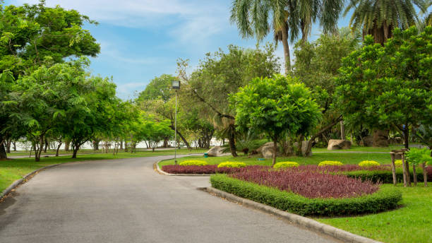 Jogging track in garden of public park among greenery trees, flower shrub and bush, black asfalt concrete walkway beside green grass lawn under cloudy sky in a good care maintenance landscapes stock photo