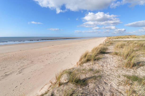 istock Sand dunes and beach in the Cotentin coast 1310274011