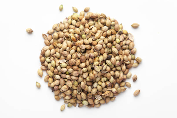 Macro close-up of Organic Coriander( Coriandrum sativum )  on white background. Pile of Indian Aromatic Spice. Macro close-up of Organic Coriander( Coriandrum sativum )  on white background. Pile of Indian Aromatic Spice. Top view coriander seed stock pictures, royalty-free photos & images