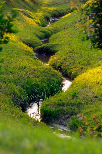 istock stream of a meandering brook or creek 1310280767