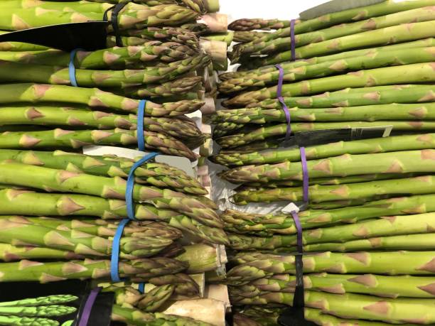 istock Close up of produce - Asparagus 1310281317