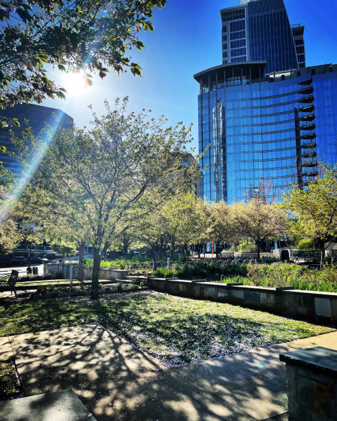 istock Romare Beardon Park, Charlotte NC 1310283806