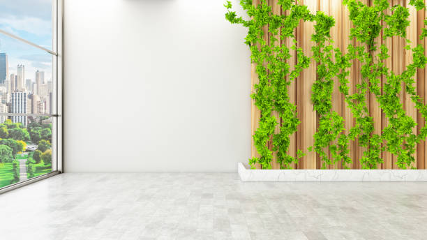 istock Empty White Wall with Ivy and Green Plants 1310284636