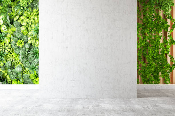 istock Empty White Wall with Ivy and Green Plants 1310285211