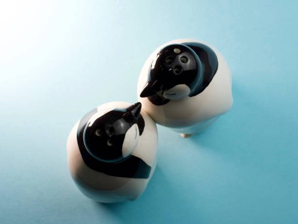 Top down of ceramic penguin salt shakers kissing