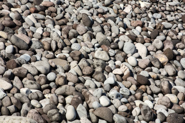 istock Close up of gray pebbles and stones 1310286598
