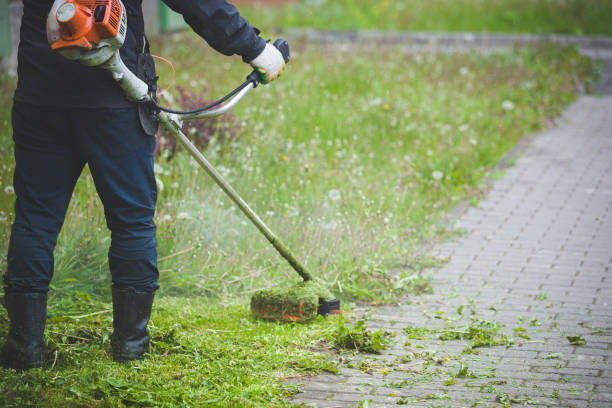 arbeiter in dunkler schutzkleidung mit einem gasmäher in der hand, rasengras vor dem haus. ein mann mäht gras mit löwenzahn an einem regnerischen frühlingstag. trimmer in den händen eines mannes. - dandelion wildflower field flower stock-fotos und bilder