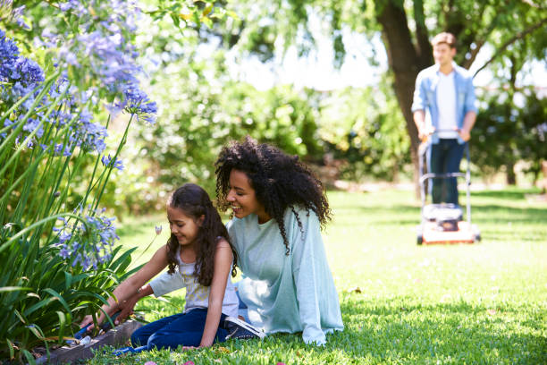 mother and daughter planting together in garden while father is mowing the lawn in the background - spring happiness women latin american and hispanic ethnicity imagens e fotografias de stock