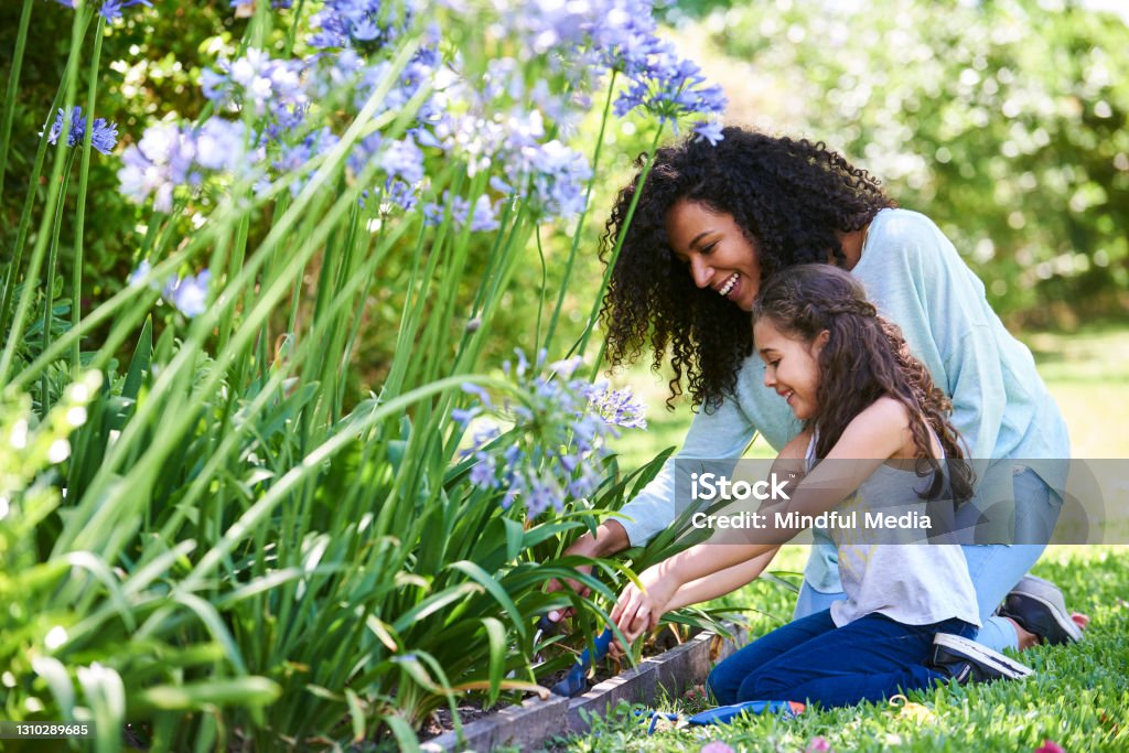 Mother and daughter planting flowers in garden Smiling mother and daughter doing gardening outdoors Springtime Stock Photo