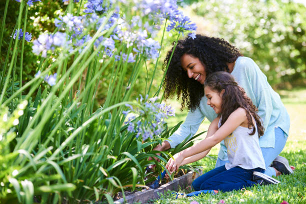 Mother and daughter planting flowers in garden Smiling mother and daughter doing gardening outdoors grounds photos stock pictures, royalty-free photos & images