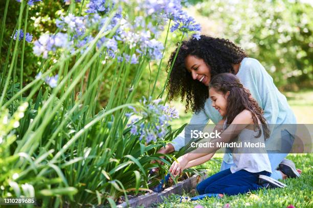 Mother And Daughter Planting Flowers In Garden Stock Photo - Download Image Now - Springtime, Family, Mother's Day