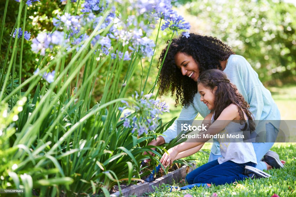 母親和女兒在花園裡種花 - 免版稅春天圖庫照片 母親和女兒在花園裡種花 - 免版稅春天圖庫照片