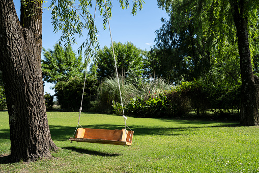 Empty rope swing hanging on tree in park