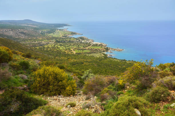 Cyprus Akamas Peninsula National Park mountain's top
