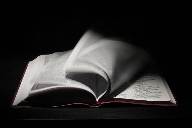 Love to reading books, pages folded into a heart shape