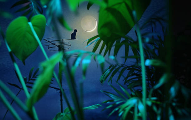 istock Cat Silhouette On The Television Antenna and  Moon Through Leaves 1310293604