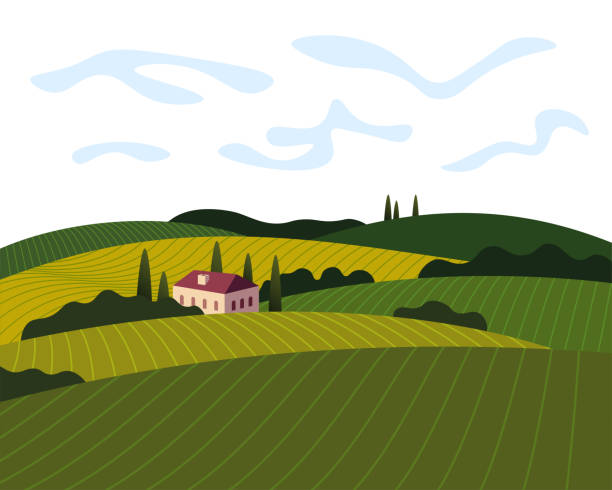 ilustraciones, imágenes clip art, dibujos animados e iconos de stock de concepto de cartel de la granja de uvas de vino de viñedo. romántico paisaje rural en día soleado con villa, campos de viñedos, colinas de plantación, granjas, prados y árboles. ilustración de banner de color vectorial - field landscape