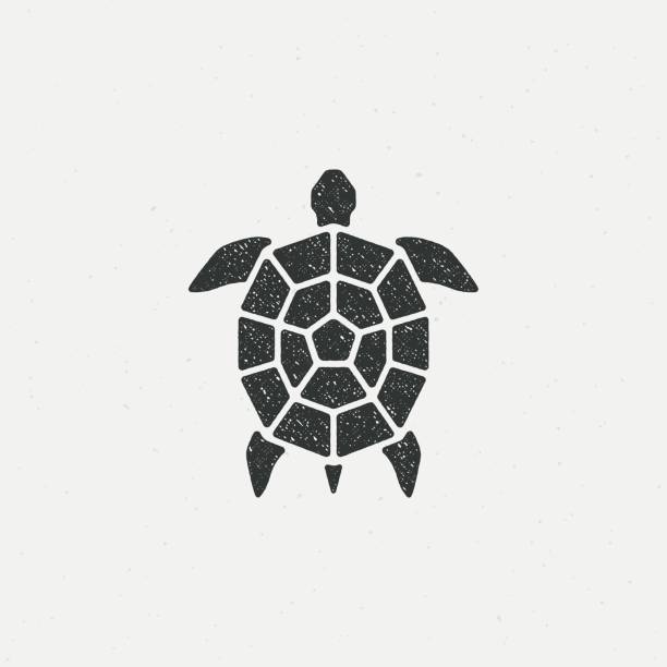 Colored illustration of a sea turtle with a grunge texture on the background. Vector illustration in vintage style for emblem, badge, symbol, label. Wild nature. sea turtle clipart stock illustrations