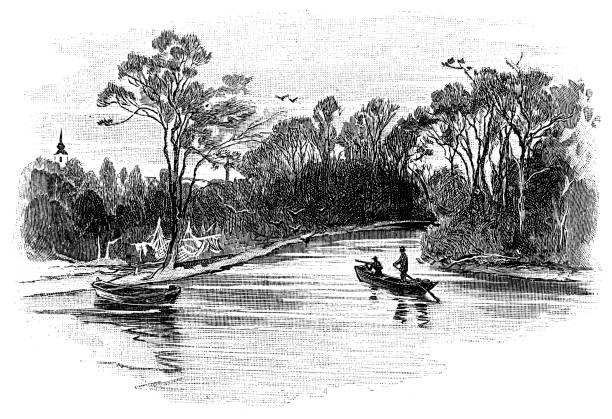 illustrations, cliparts, dessins animés et icônes de le leitha est un fleuve en autriche et en hongrie, un affluent droit du danube - danube river illustrations