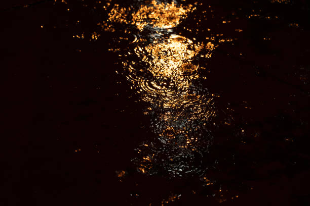 istock Car headlights on a wet road 1310305975