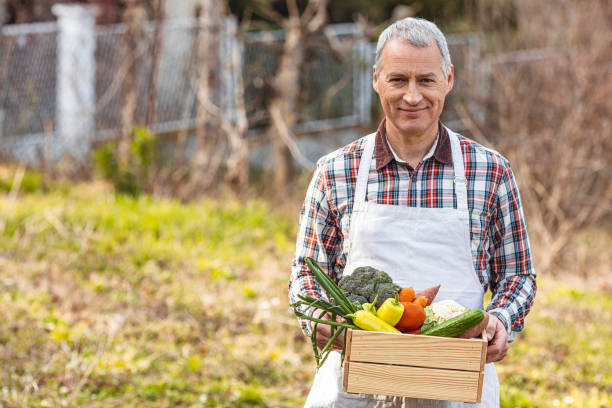 istock Mature Farmer holding basket with vegetables 1310306456