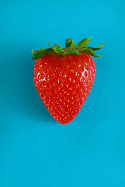 istock Strawberries isolated on a blue background 1310309374