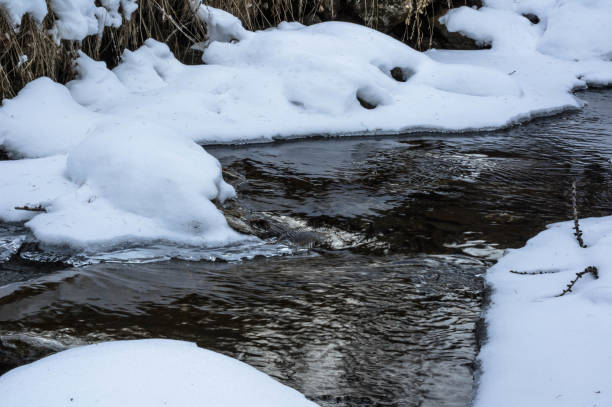 istock buscagna creek in alpe devero 1310309458