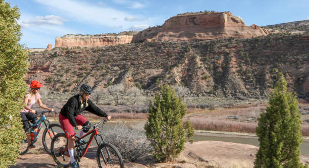 istock Female mountain bikers follow desert pathway in the morning 1310309727