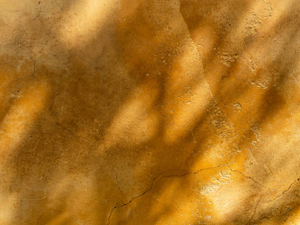 istock Abstract Leaves and Tree branch shadows on sunny day on beige concrete wall texture background 1310311945