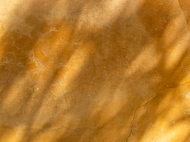 istock Abstract Leaves and Tree branch shadows on sunny day on beige concrete wall texture background 1310311952