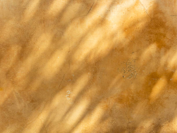 istock Abstract Leaves and Tree branch shadows on sunny day on beige concrete wall texture background 1310311963