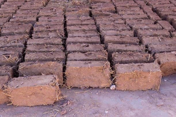 Production of homemade mudbricks from a mixture of clay and straw in Morocco. The finished bricks are dried in the sun. Mud-brick construction is called adobe.