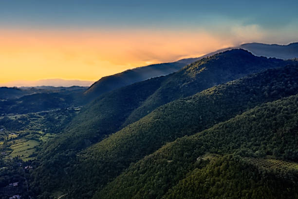 istock Drone view of green forest in the mountains 1310314359