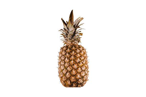 istock Pineapple isolated tropical fruit on white background background. Citrus fruit with vitamin c for helth care 1310315476