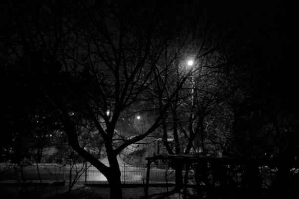 istock in winter it snows at night 1310315990